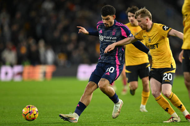 即便是最有 即便是最有