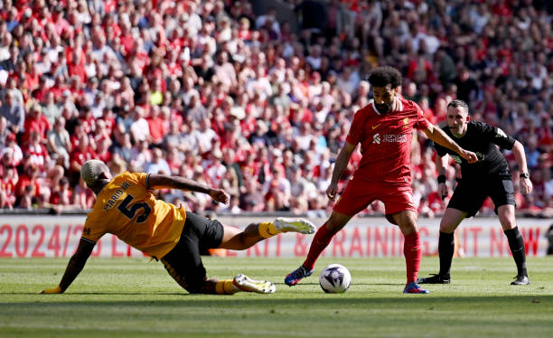 果进行细致 果进行细致