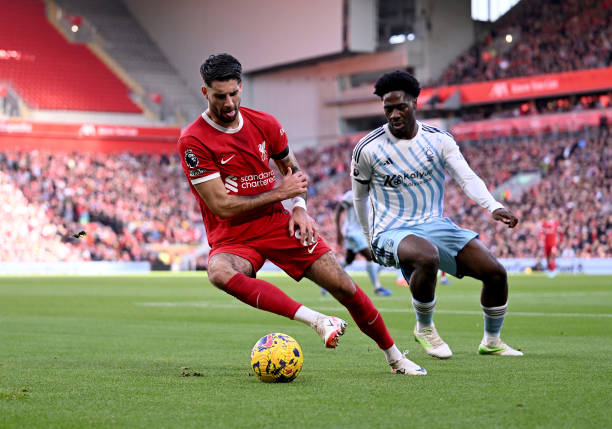 的领导下 的领导下