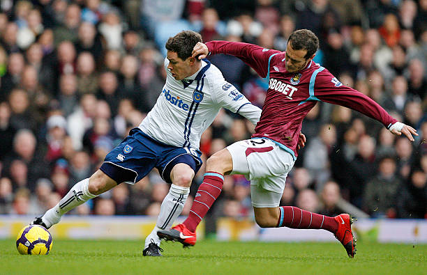 蒂斯的期待 蒂斯的期待